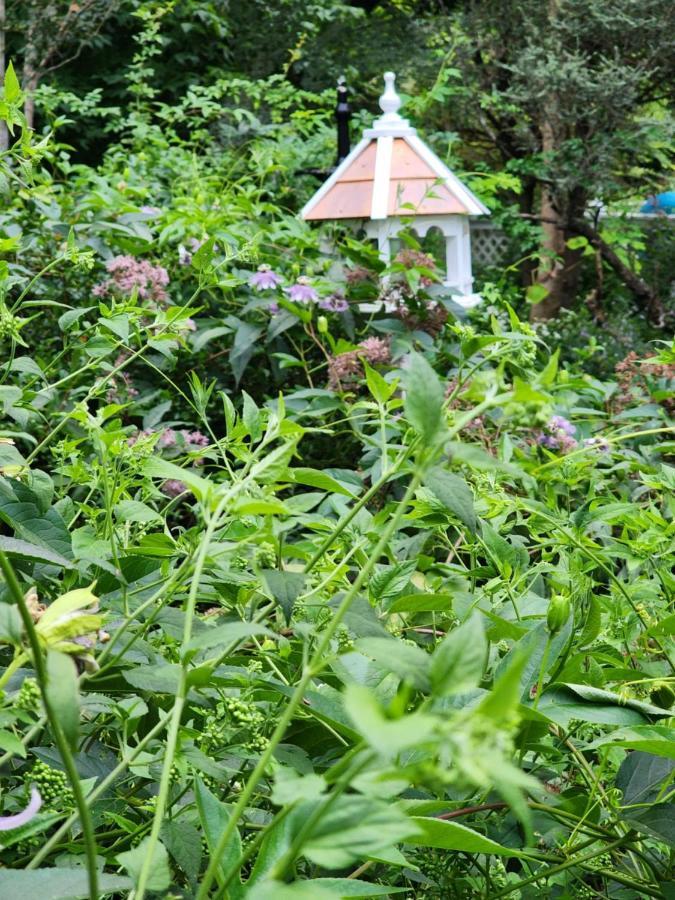 House Of 1833 Bed And Breakfast Mystic Luaran gambar