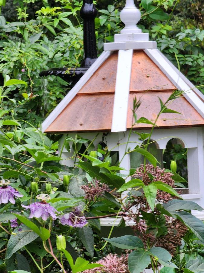 House Of 1833 Bed And Breakfast Mystic Luaran gambar